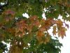 DSCN0027.JPG