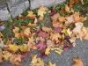 DSCN0028.JPG