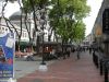 DSCN0053.JPG